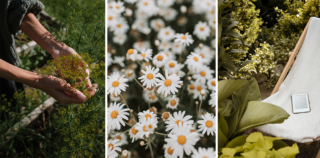 Hands holding flowers in a summer garden