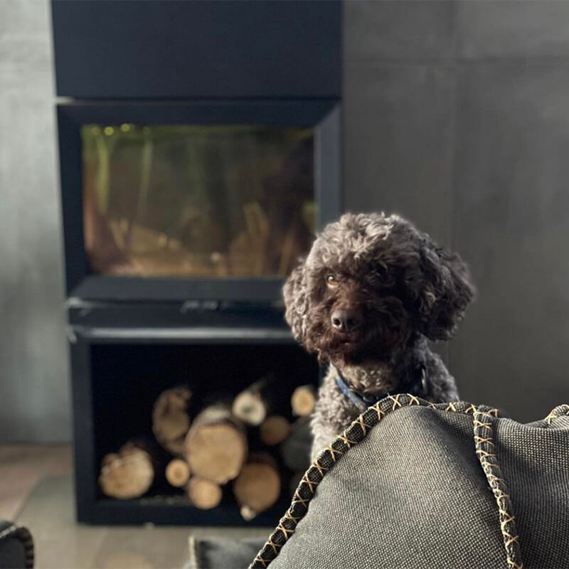 The wood-burning stove Jøtul F 520 HT with black dog in front.