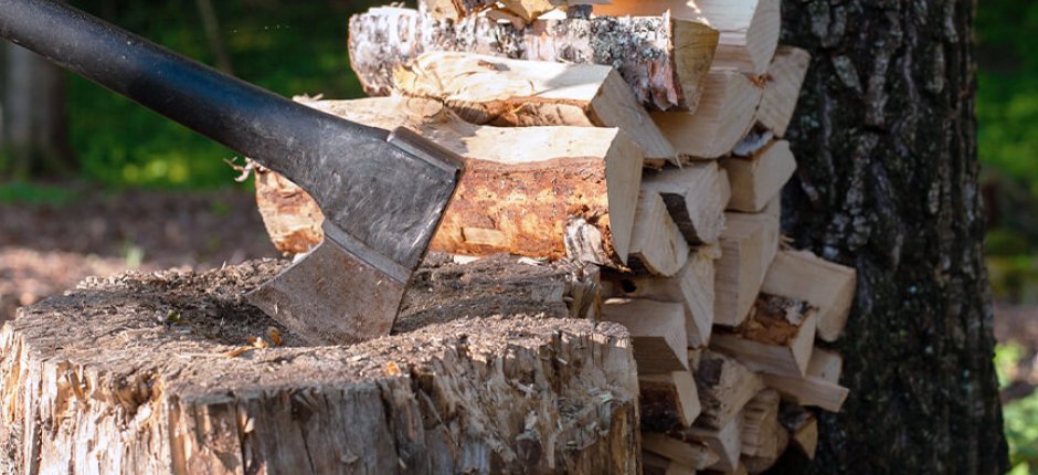 Ax chopping firewood