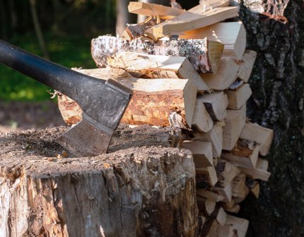 Ax chopping firewood